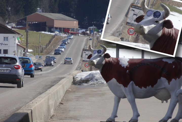 Vache radar automatique